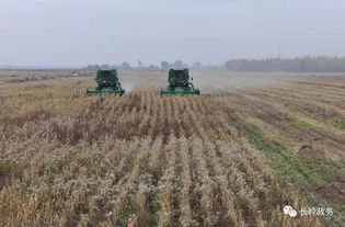 長嶺縣人民政府