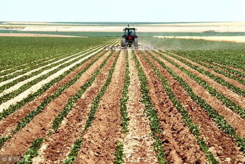 三年 還有三年,農(nóng)業(yè) 農(nóng)村將會發(fā)生10個變化