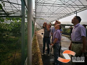 我區(qū)迎來創(chuàng)建 省級農(nóng)產(chǎn)品質(zhì)量安全放心縣 工作考評檢查