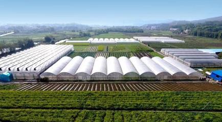 韶關(guān)曲江:奮進新時代 譜寫新篇章