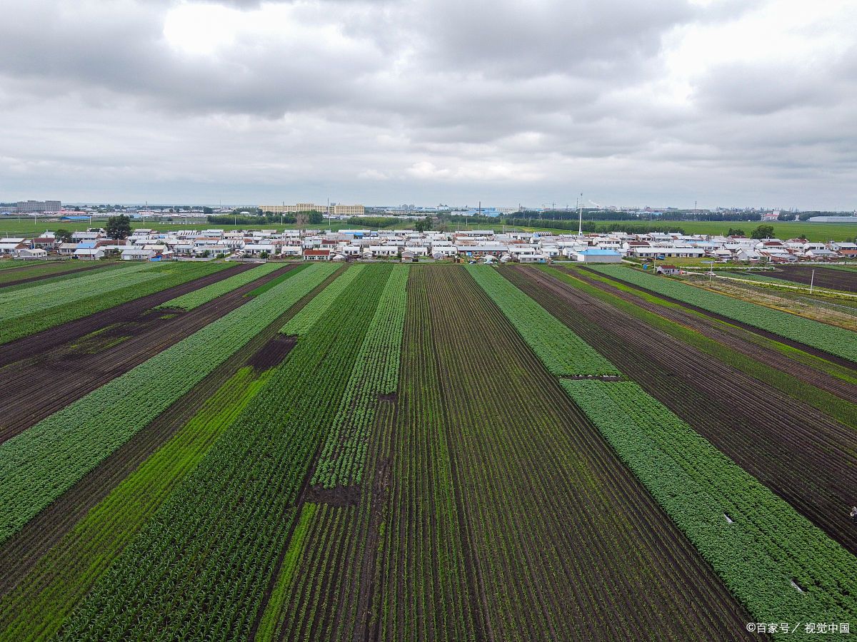 農(nóng)業(yè)工程(農(nóng)業(yè)綜合開發(fā)生態(tài)工程)專業(yè)設(shè)計甲級資質(zhì)公司項(xiàng)目范圍