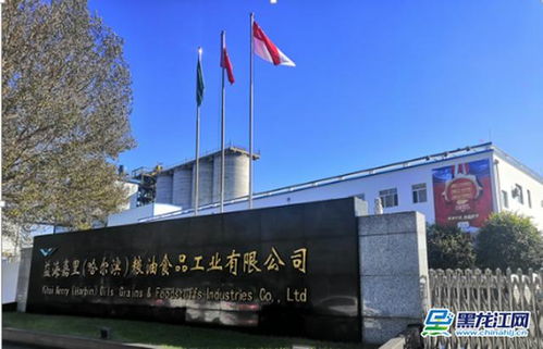 深耕龍江十余載 金龍魚糧油王者C位登創農業開發