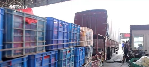 一季度農(nóng)業(yè)農(nóng)村經(jīng)濟(jì)實(shí)現(xiàn)開門穩(wěn)開門紅，發(fā)展勢(shì)頭持續(xù)向好