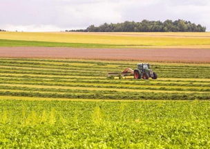 農(nóng)業(yè)部發(fā)文推進(jìn)農(nóng)業(yè)開發(fā)，五大領(lǐng)域?qū)@政策紅利