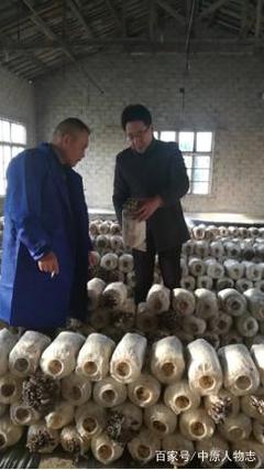 一生為民 無怨無悔——湖南常德市食用菌產業協會會長馬永春訪談錄