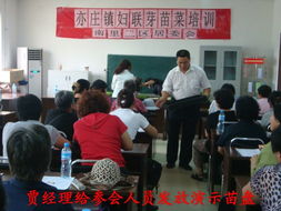 從陽臺到餐桌 有機芽苗菜的家庭種植與養生之道