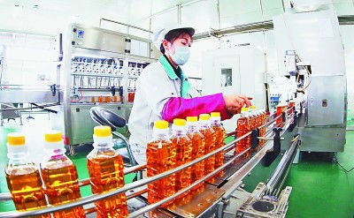 吉林 厚植黑土優勢，賦能農業升級，擘畫現代農業新藍圖