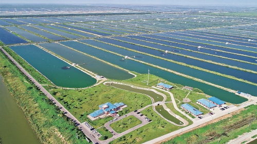 智慧農業浪潮下，農墾如何走在前列，引領農業開發新篇章